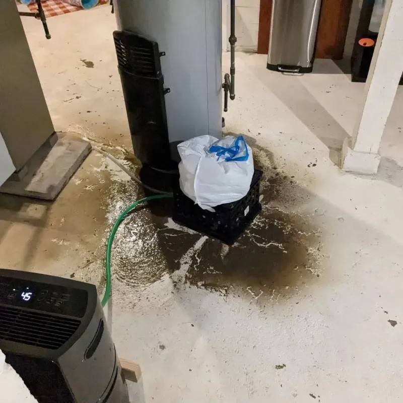 Sewage Backup Cleanup Service in Vincentown, NJ